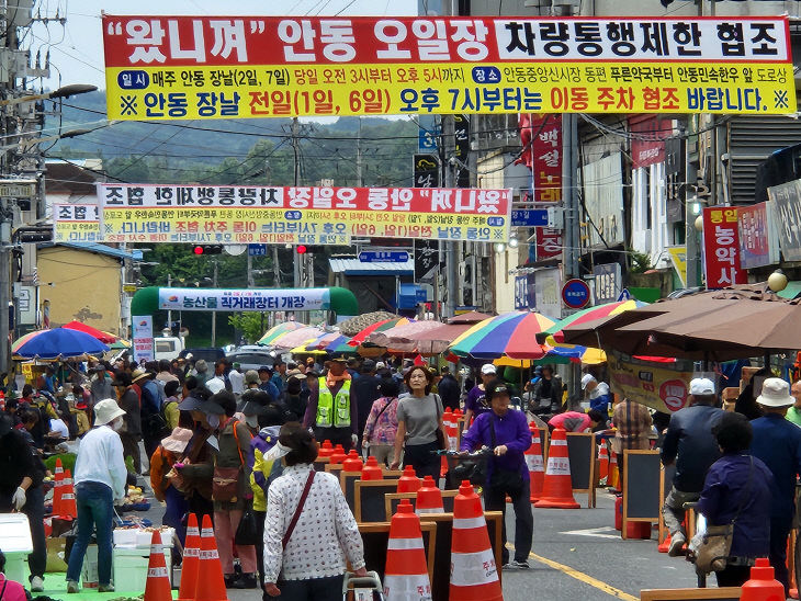 0521 “왔니껴” 안동 오일장으로 새로운 출발 (2)