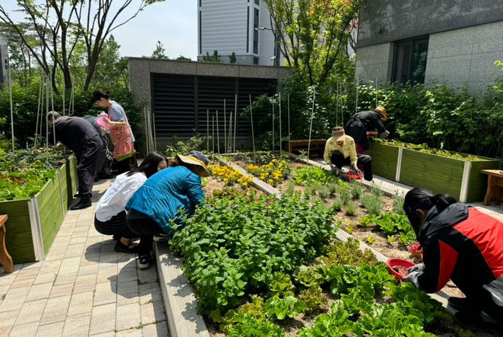 텃밭정원 가꾸기 활동사진