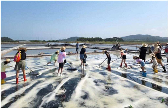 신안 증도 소금밭