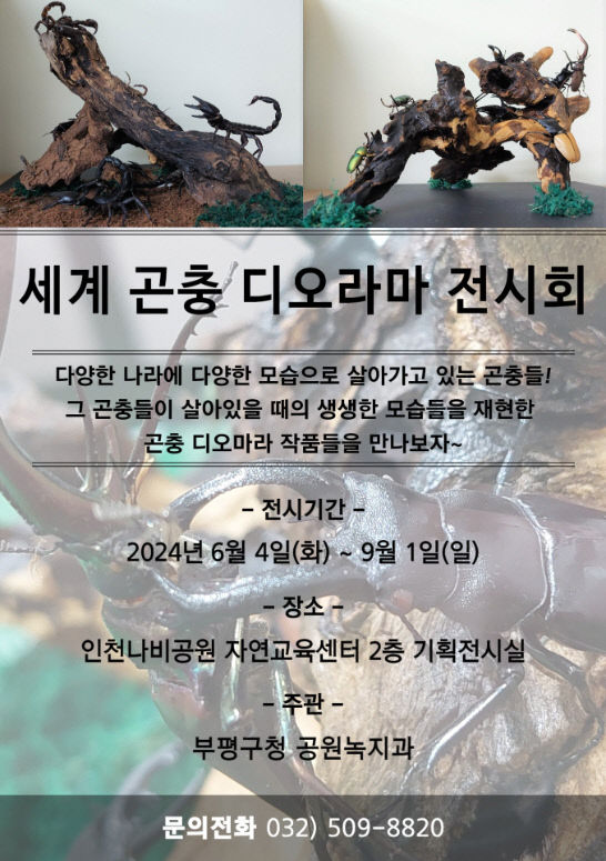 3. 부평구, 인천나비전시회’ 개최