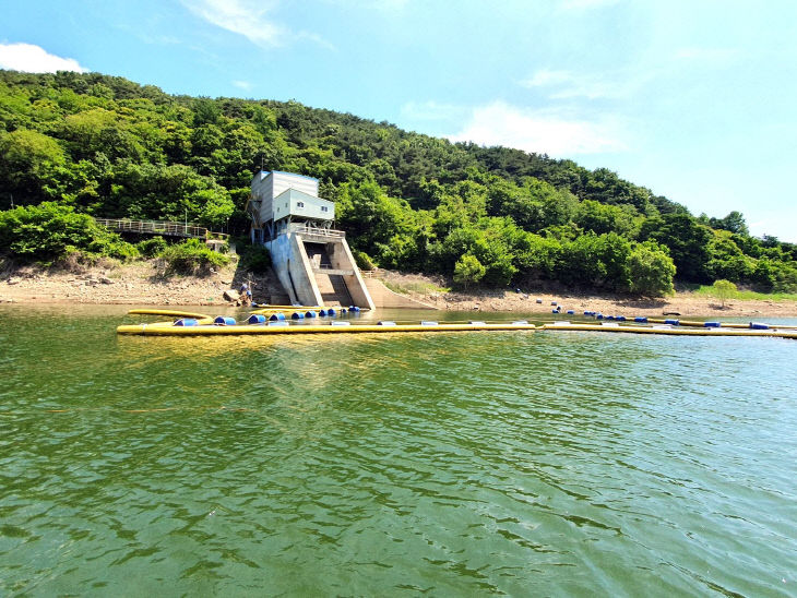 0604 정읍시 맑은 물 공급 .녹조 발생 대비 철저