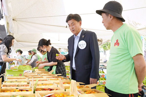 토마토 판매대 (2)