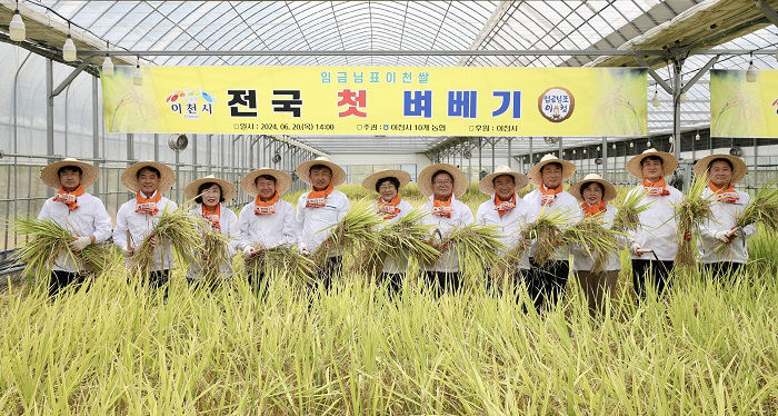 임금님표 이천쌀  전국 첫 벼베기 행사 (2)