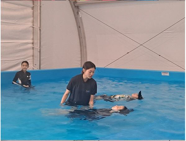 이동형 수영장 생존수영 실기교육 실시 (1)
