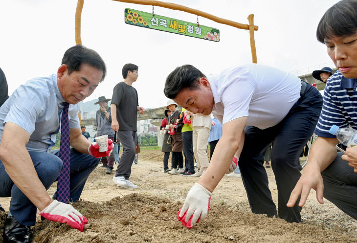 의정부시, 신곡새빛정원 해바라기 파종 행사 개최