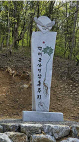 백제금산인삼발원종주지기념탑