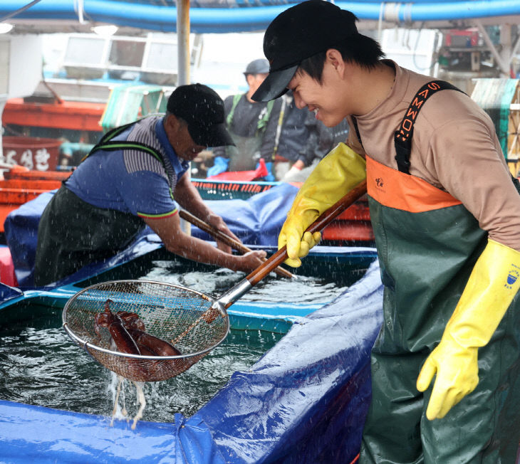 제1회 신진도 오징어 수산물 축제 개최 1(230709)