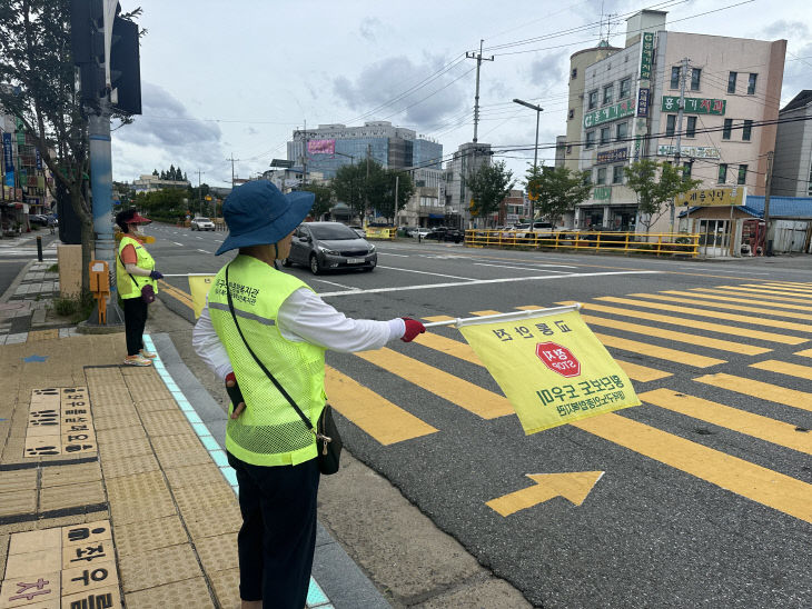 녹색단 모니터링 (1)