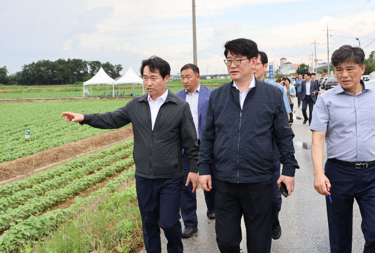 논콩 생육 및 땅속 배수 기술 현장 점검