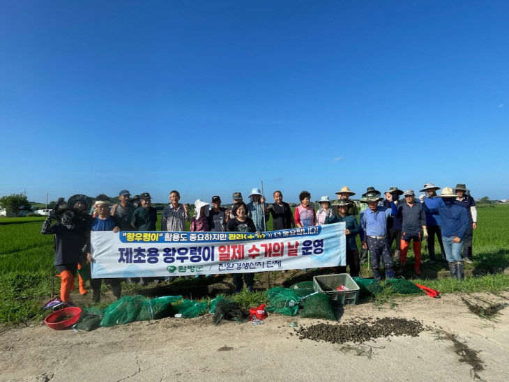 함평읍 장년리 일원에서 왕우렁이 제거 활동 (2)