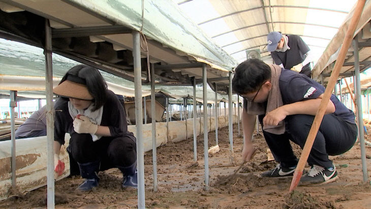 복구작업중인 논산시청 직원들 (5)