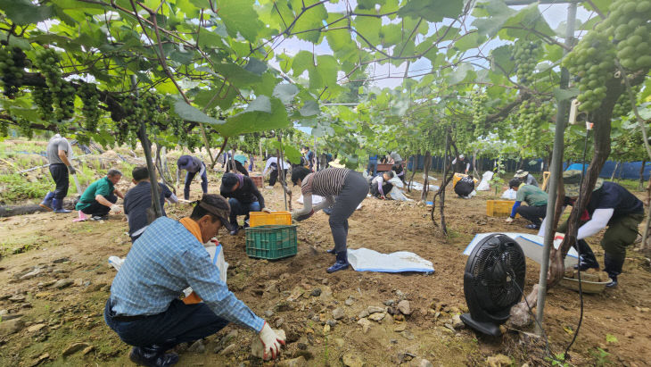 군의회 영동군