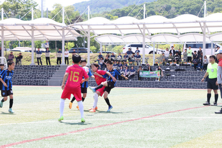 유소년 축구 대회 사진