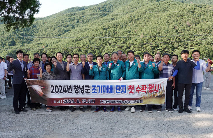 창녕군 조기재배 벼 첫 수확