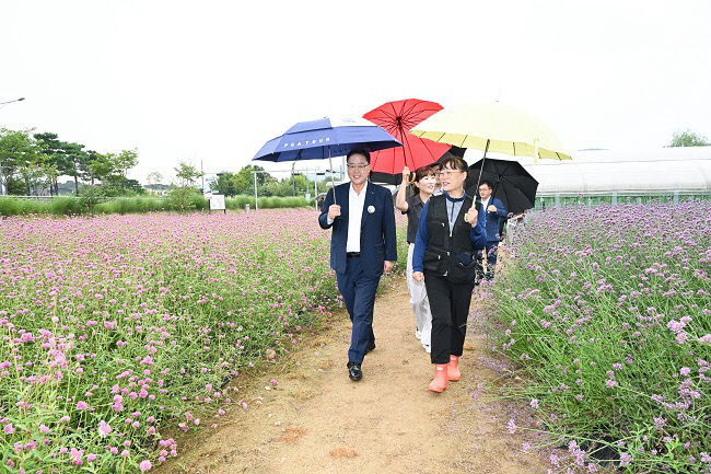 양주시, 나리농원에서 현장 간부회의 개최… 천일홍꽃밭 개장