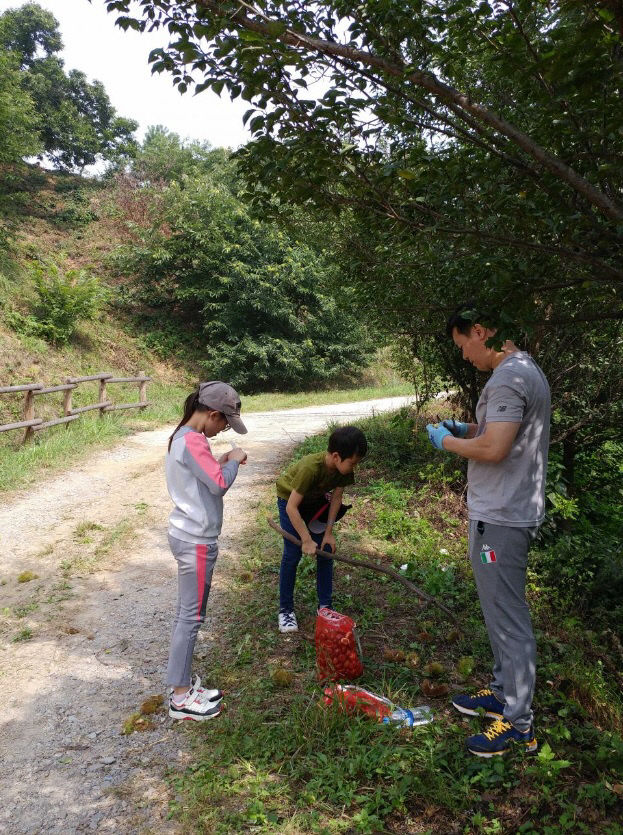 녹색 산촌 체험 알밤 줍기 행사 사진