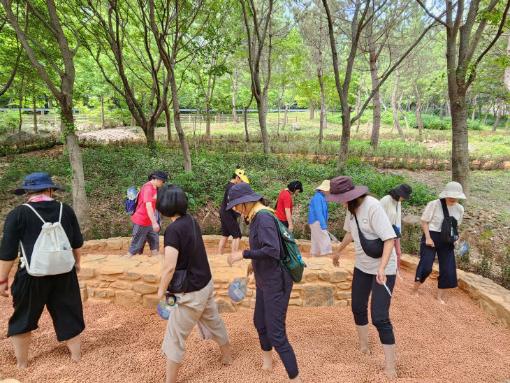 월아산 숲속의 진주 맨발로숲