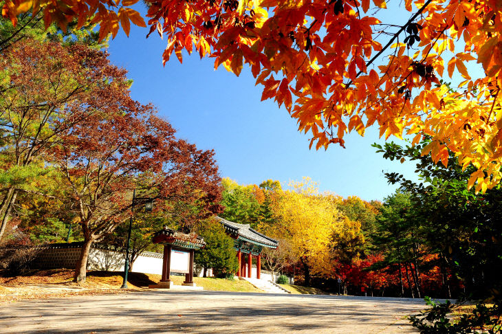 부소산 단풍02(출처-부여군 담당부서 제공)