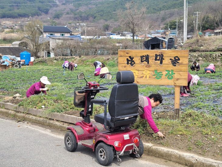 곡성