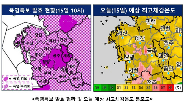 화면 캡처 2024-09-15 125518