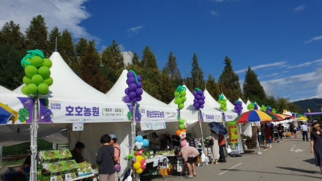 2. 제17회 안성맞춤포도축제 성료