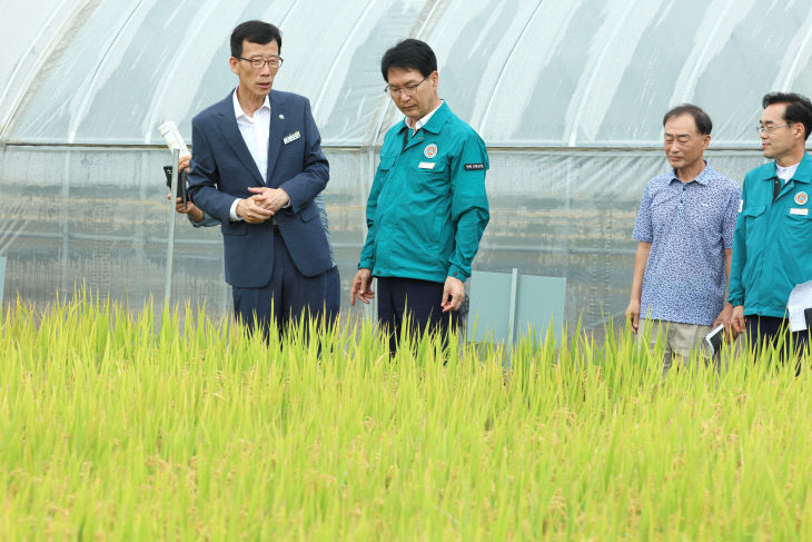 고창군 벼농사 종합평가회(2)