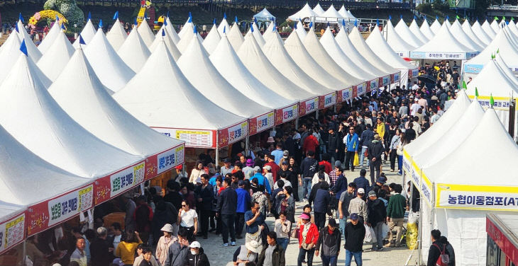 보은대추축제 지난해