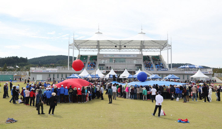 3. 제16회 태안군민체육대회 성료 5