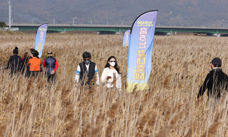 1.강진만춤추는갈대축제