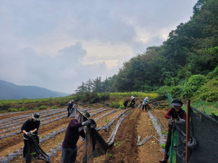 괴산읍 직원 일손돕기