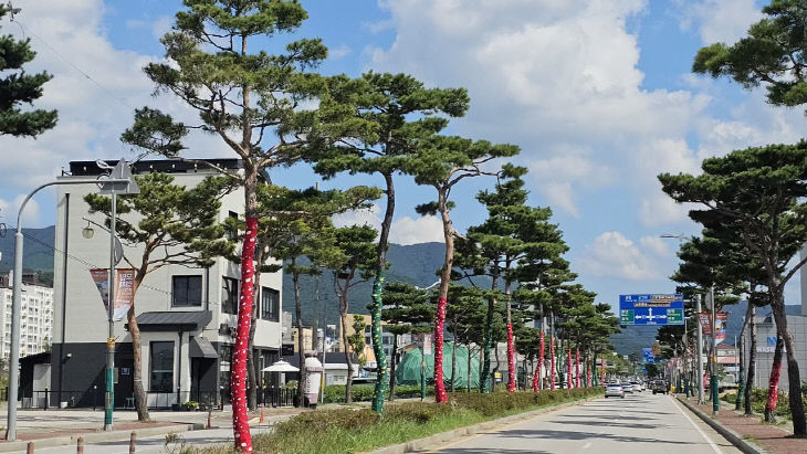 가로수 수목보호대(1)