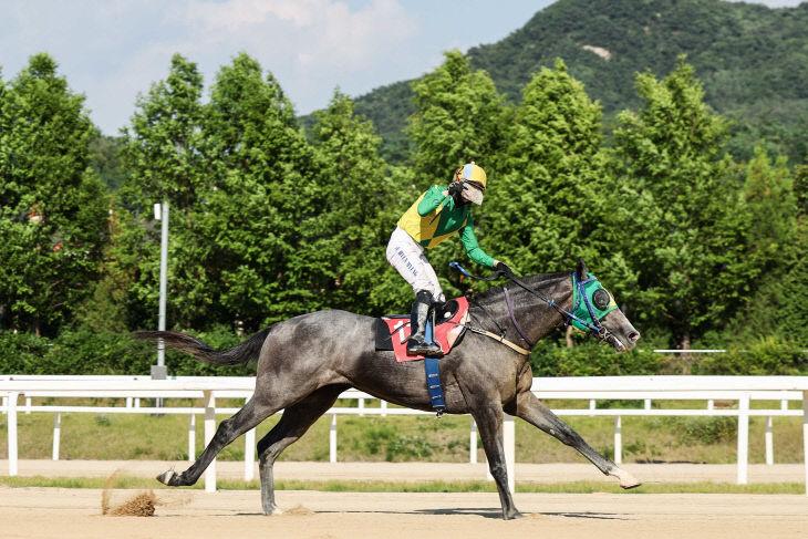 한국마사회 석세스백파