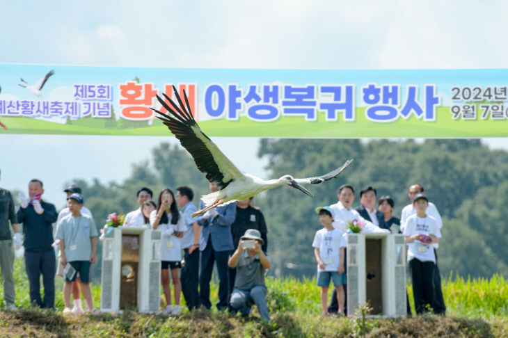 제5회황새축제황새방사행사