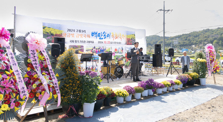 남양면 구룡3리 백만송이 국화축제