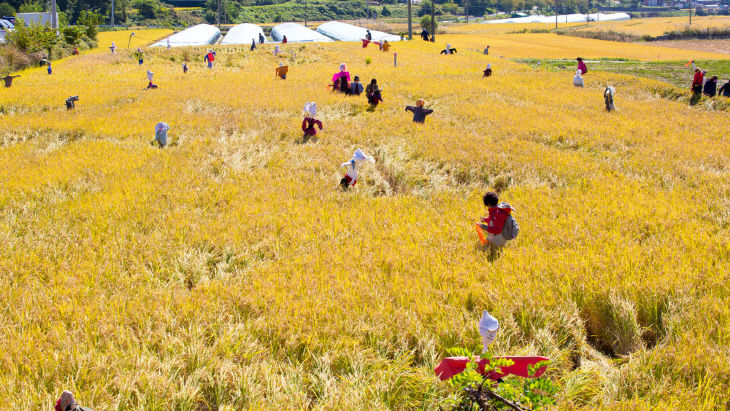 산청_메뚜기쌀 축제