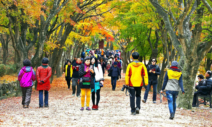 문체부 공모사업 선정으로 5억원 확보(내장산) (1)