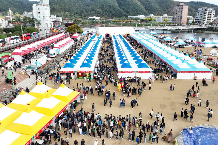 제18회 청송사과축제[사과축제장 전경] (2)