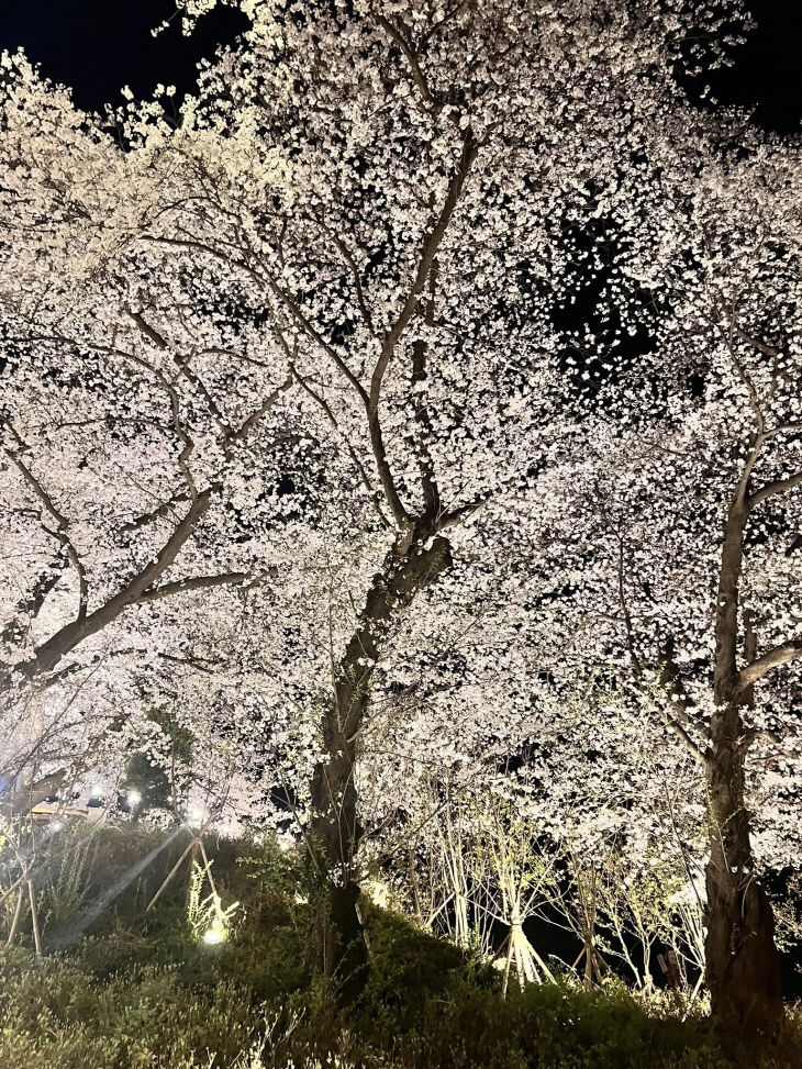 [5-6] 장은숙 기자