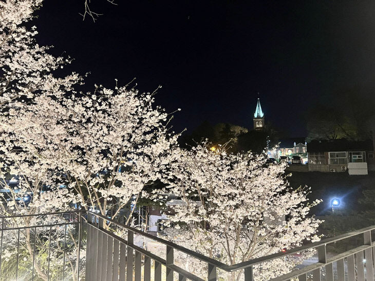 [5-6-1]장은숙 기자