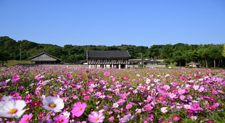 돈암서원 (3)