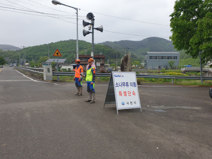 소나무류 무단이동 특별단속 (1)