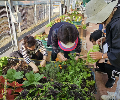 치유농업프로그램 (2)