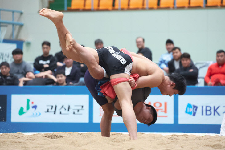 씨름대회 사진