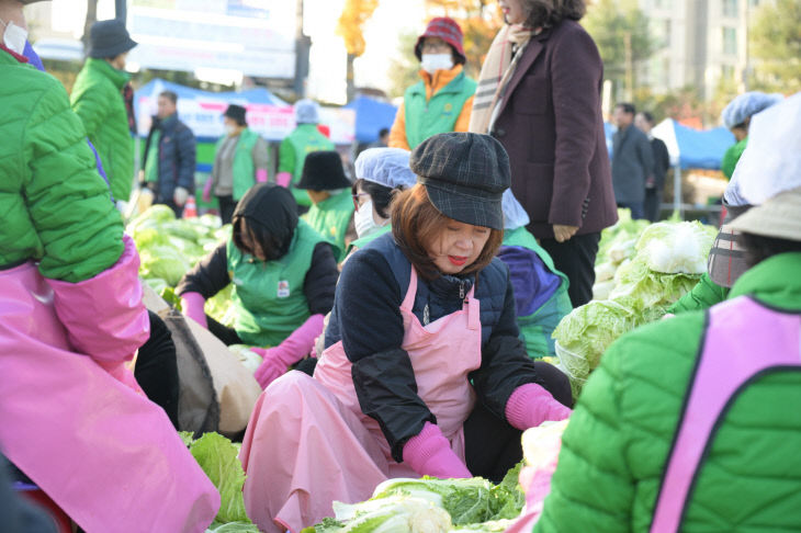 김장담그기 현장 (9)