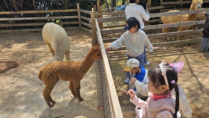 청산에 살어리랏다 (2)