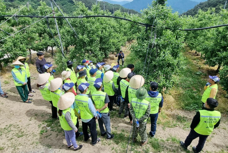 함양군 계절근로자 사업 (2)