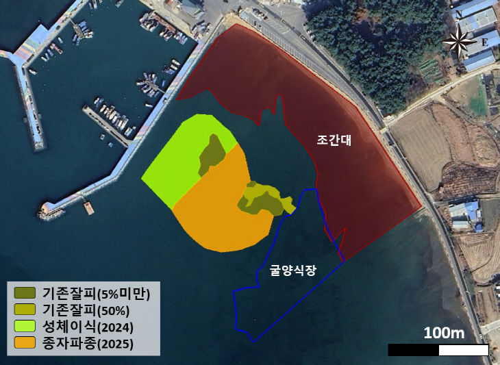 잘피 성체 이식과 종자 파종 지역 상세도