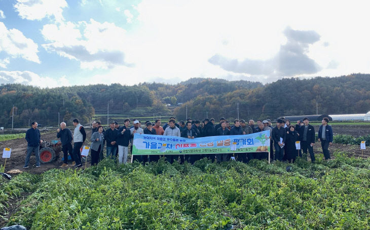 보성