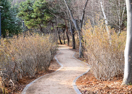 2. 파주 월롱시민공원에 ‘맨발 산책로’조성 (2)