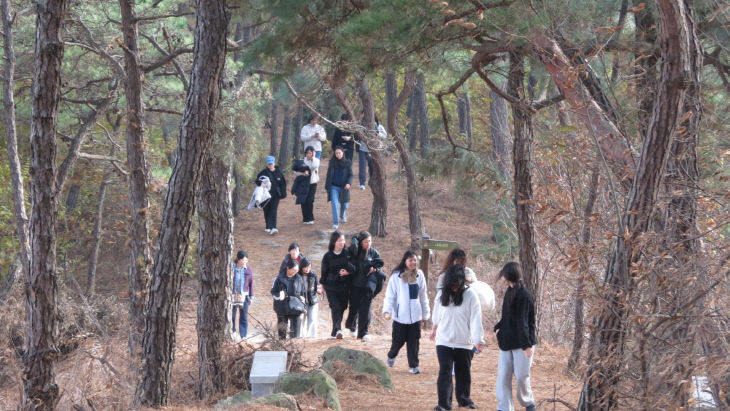 [늘푸른나무]수험생 토닥걷기(논산여고) (3)